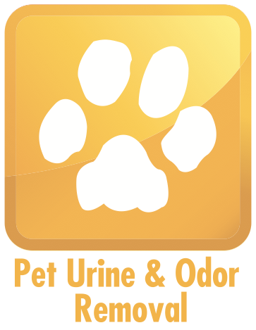 363x469 Pet Urine Odor Removal Icon Champion Chem Dry