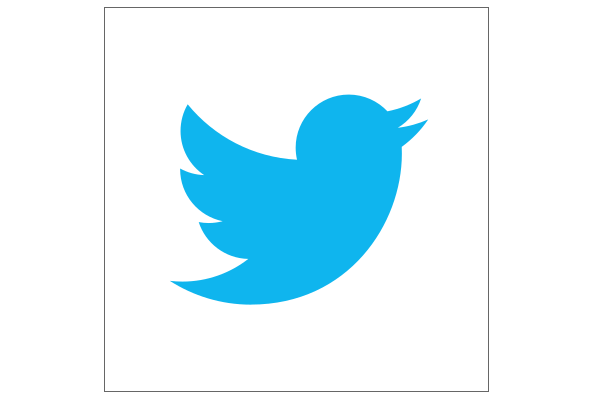 600x400 Are You Using The Twitter Logo Wrong Goinkscape!