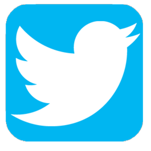 512x512 Twitter App Icon Transparent