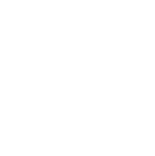 532x538 Made In Ohio Icon