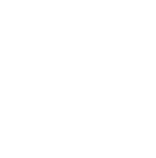 532x538 Ohio Certified Stan