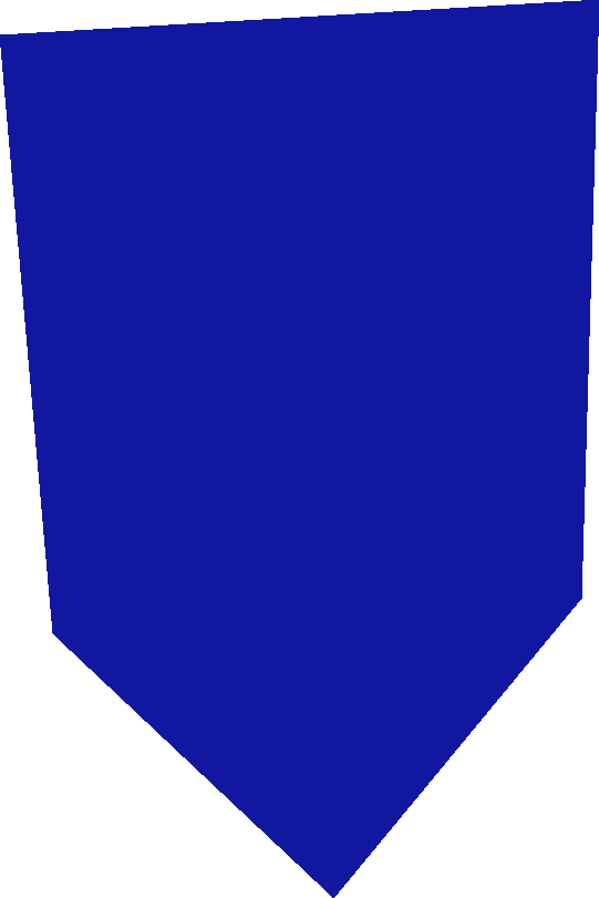 541x811 Defender Icon