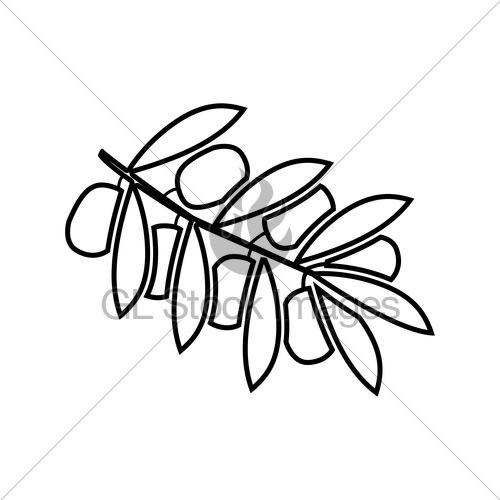 500x500 Olive Branch It Is Black Icon Gl Stock Images