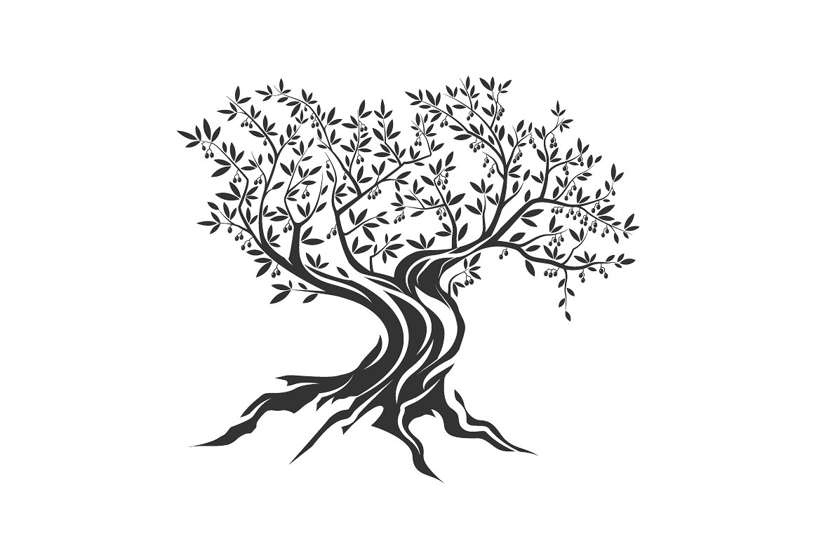 1160x772 Olive Tree Silhouette