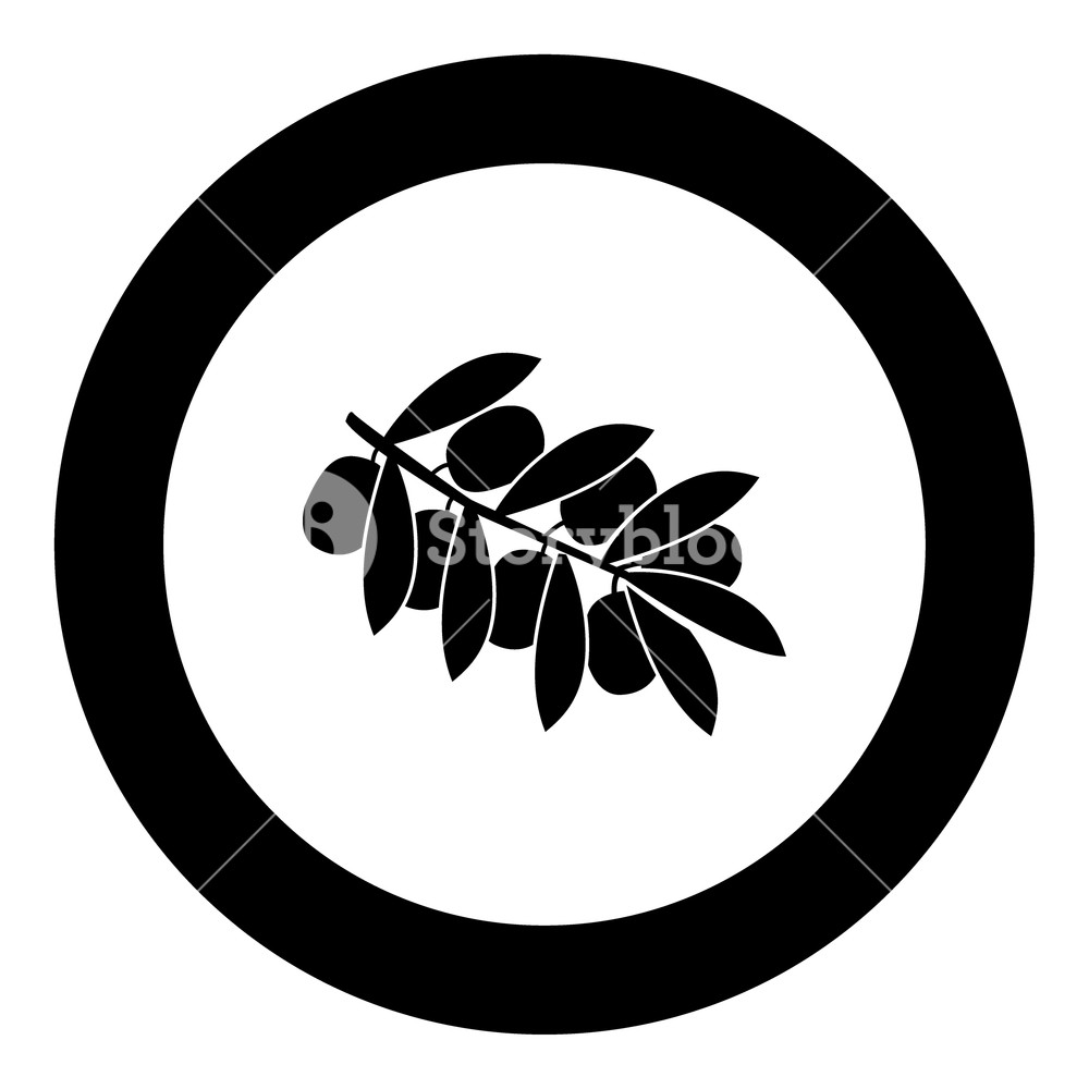 1000x1000 Olive Branch Black Icon In Circle Vector Illustration Isolated