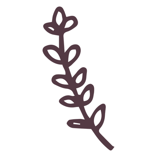 512x512 Olive Branch Hand Drawn Icon