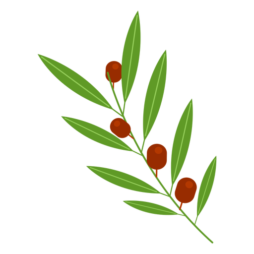 512x512 Olive Branch Icon