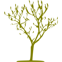 256x256 Olive Tree Icon