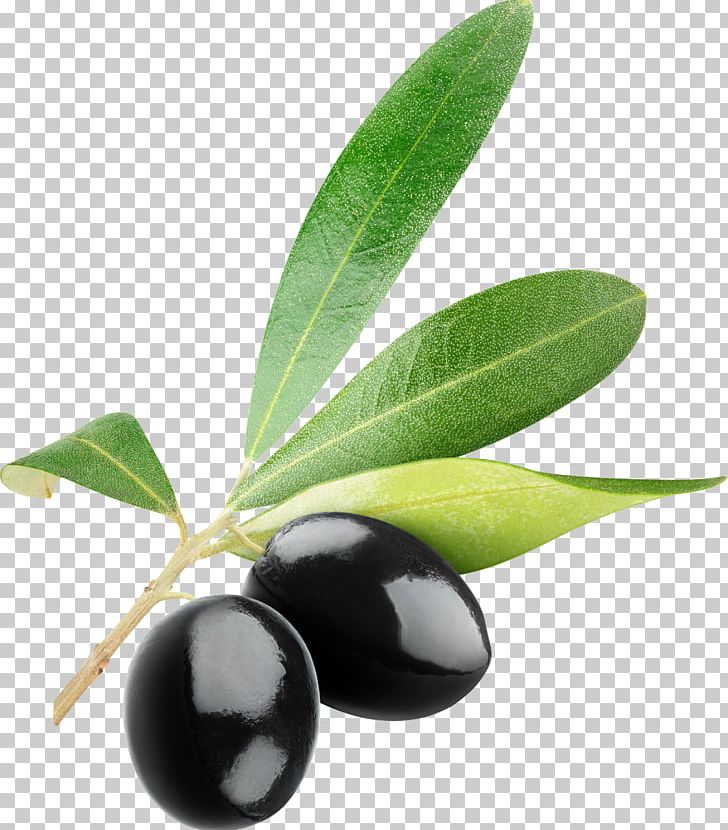 728x830 Olive Icon Png, Clipart, Black Olives, Black Olives Png, Clip Art