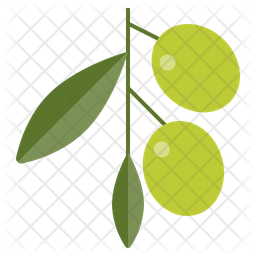 256x256 Olive Icon Of Flat Style