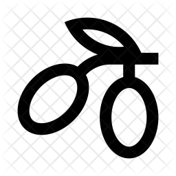 256x256 Olive Icon Of Line Style