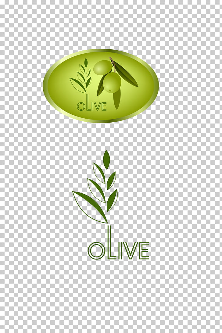 728x1092 Olive Leaf Icon, Olive Icon Png Clipart Free Cliparts Uihere