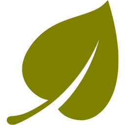 256x256 Olive Leaf Icon