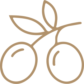 270x271 Rb Olive Icon