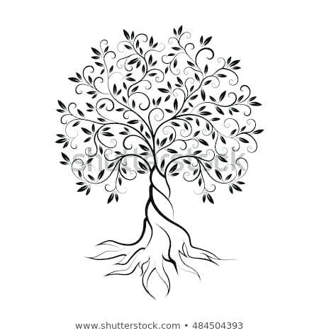 450x470 Olive Tree Outline Curl Silhouette Icon Stock Vector Royalty Free