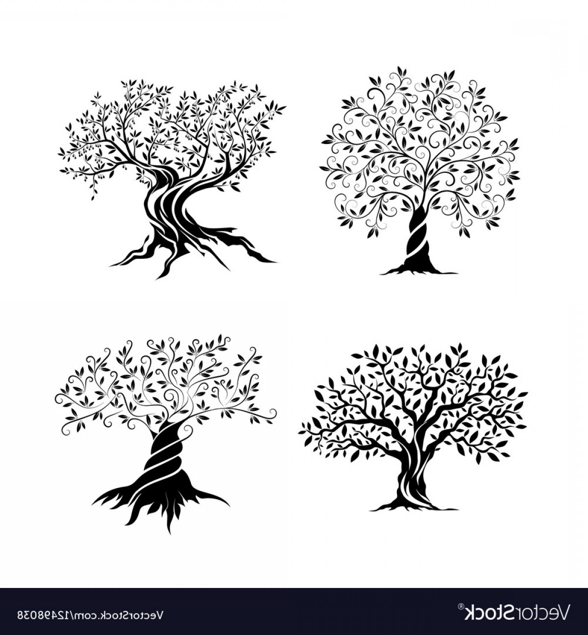 1200x1296 Olive Trees Silhouette Icon Set Vector Soidergi