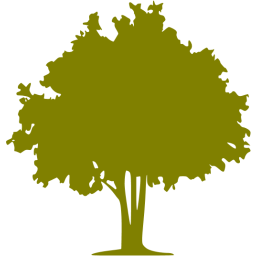 256x256 Olive Tree Icon