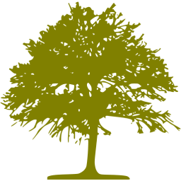 256x256 Olive Tree Icon