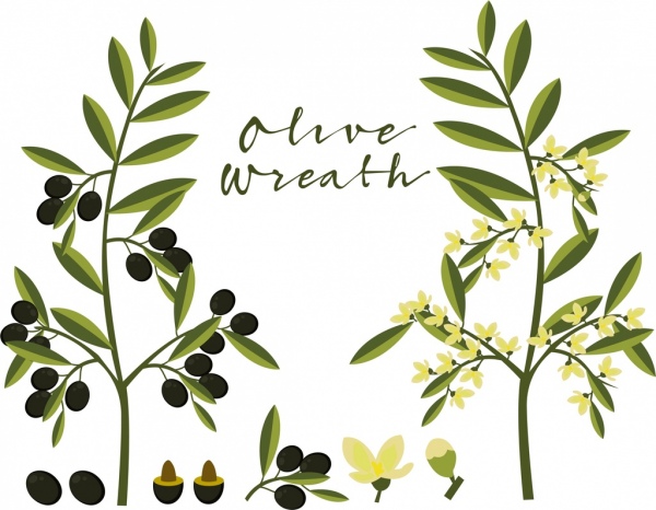 600x466 Olive Tree Icons Green Design Free Vector In Adobe Illustrator