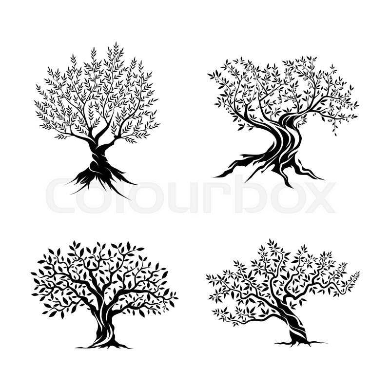 800x800 Olive Trees Silhouette Icon Set Stock Vector Colourbox