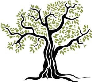 300x269 The Secret Of Our Products Is Our Land View Photos Of Farm