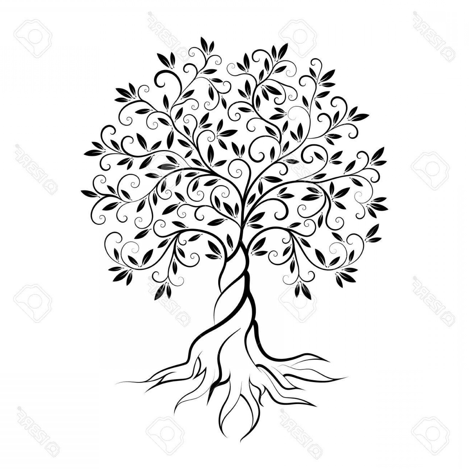 1560x1560 Tree Outline Drawing Vector Catchsplace
