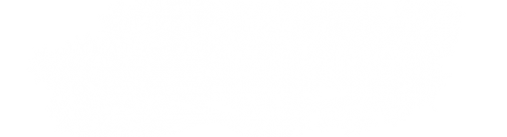 736x200 Icon Olive Tree White Beth Yeshua Messianic Synagogue