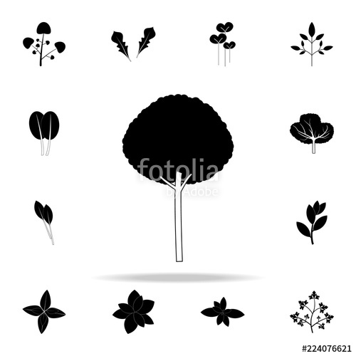 500x500 Olive Tree Icon Plants Icons Universal Set For Web And Mobile