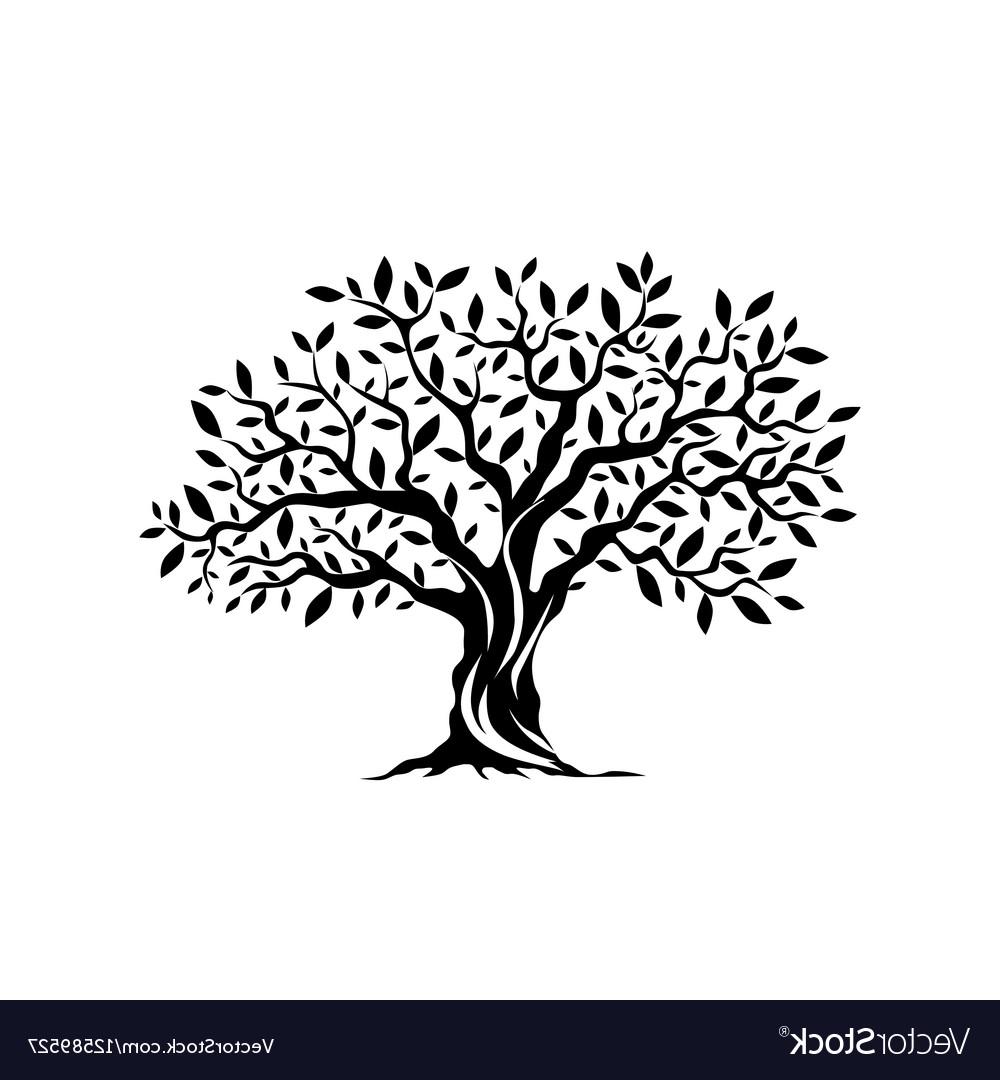 1000x1080 Huge Collection Of 'olive Tree Silhouette' Download More Than