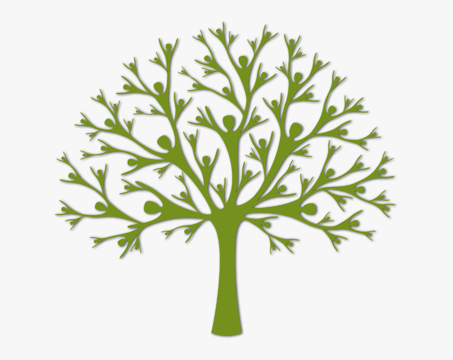 920x732 Olive Tree Icon Png
