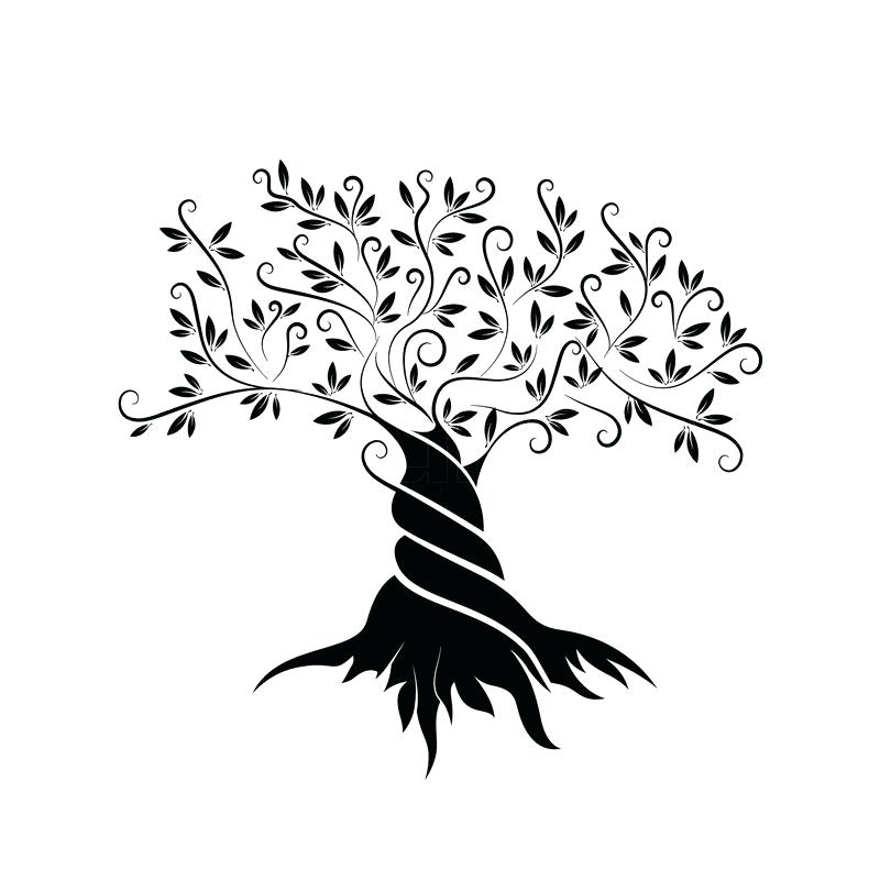 800x800 Olive Tree Outline Curl Silhouette Icon Isolated On White
