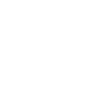 177x177 Icon Omni Channel