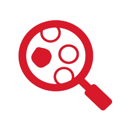 256x256 Medical Oncology