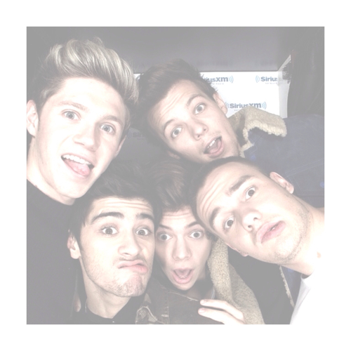 One Direction Icon Shared 500x500 One Direction Icon Shared
