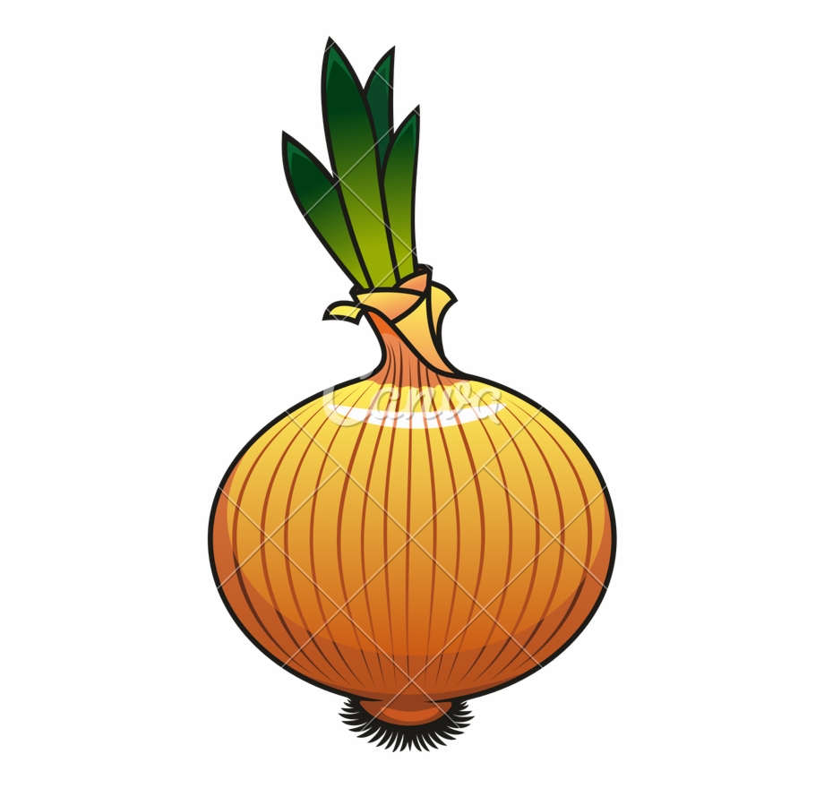 920x880 Onion Icon Design