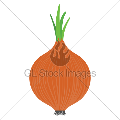 500x500 Onion Icon Gl Stock Images
