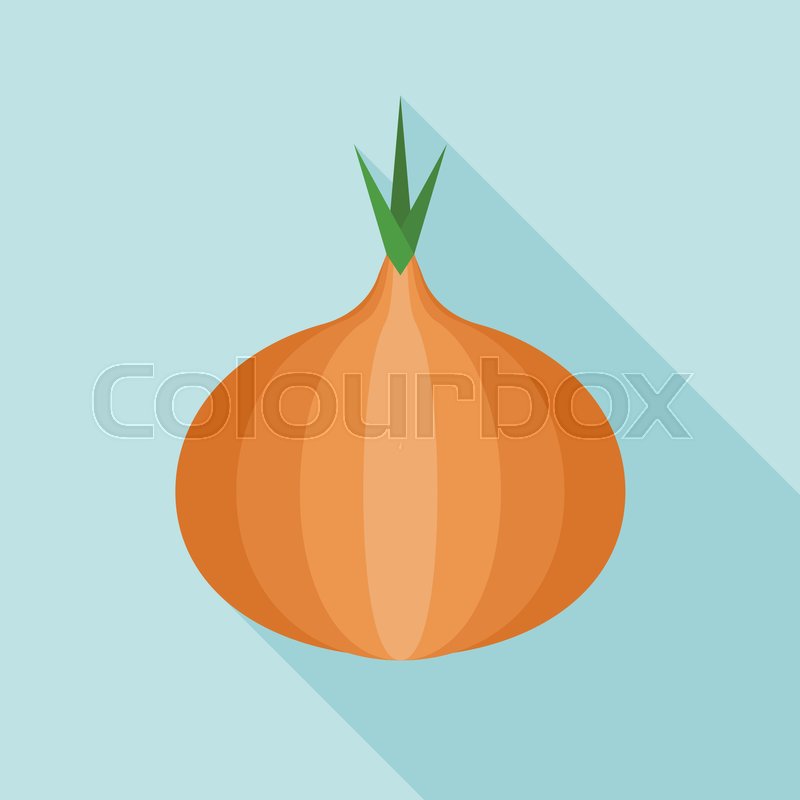 800x800 Onion Icon, Flat Design Stock Vector Colourbox