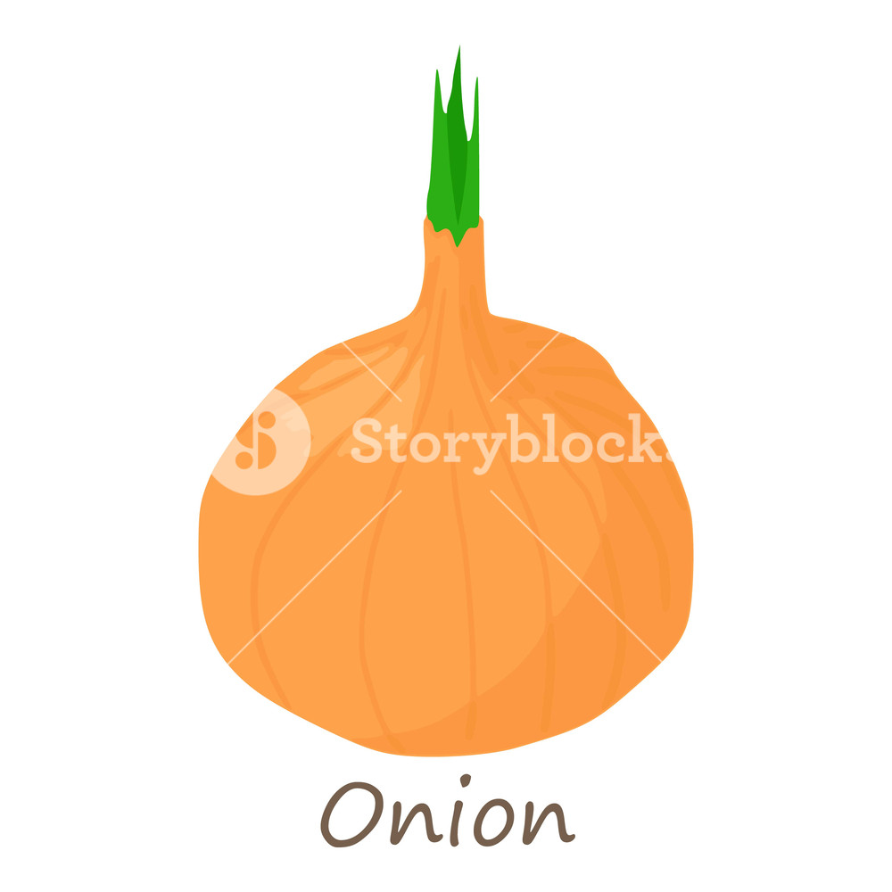 1000x1000 Onion Icon Isometric Of Onion Vector Icon For Web Design Isolated