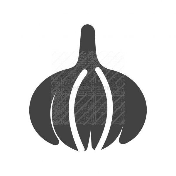 600x600 Onion Glyph Icon