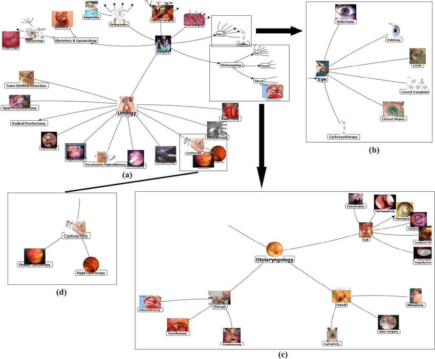 850x702 Concept Ontology With Icons For Hierarchical Video Concept
