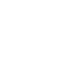 256x256 White Envelope Open Icon