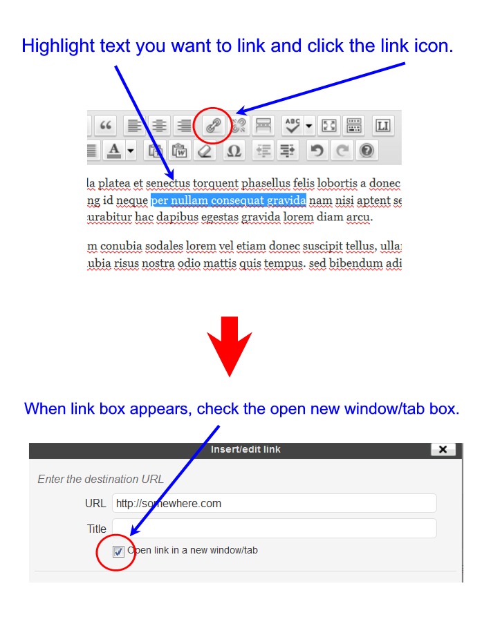 697x932 Open Wordpress Link In New Window Tab