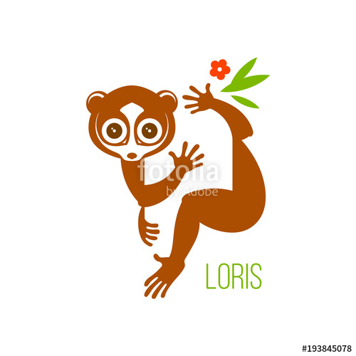500x500 Color Drawing, Logo Or Icon Of A Wild Nocturnal Eyed Animal Lemur