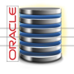 Oracle Db Icon at Vectorified.com | Collection of Oracle Db Icon free ...