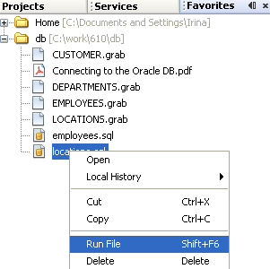 301x300 Connecting To Oracle Database