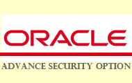 Its Implements Oracle Advance Security Option 190x120 Its Implements Oracle Advance Security Option