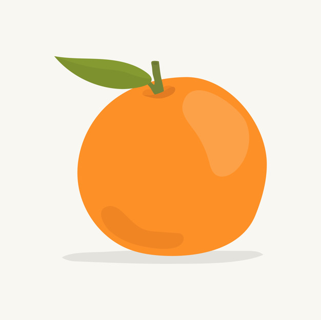 626x625 Orange Vectors, Photos And Free Download