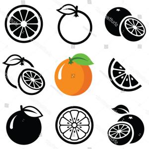 300x300 Orange Fruit Icon Collection Vector Outline Wallkeeper