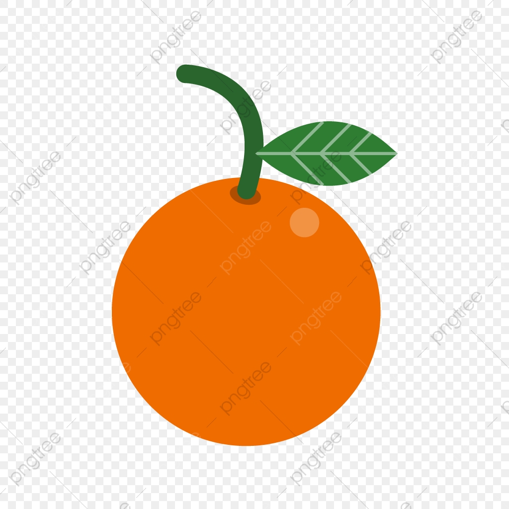 1024x1024 Orange Vector Icon, Citrus Icon, Fruit Icon, Healthy Icon Png