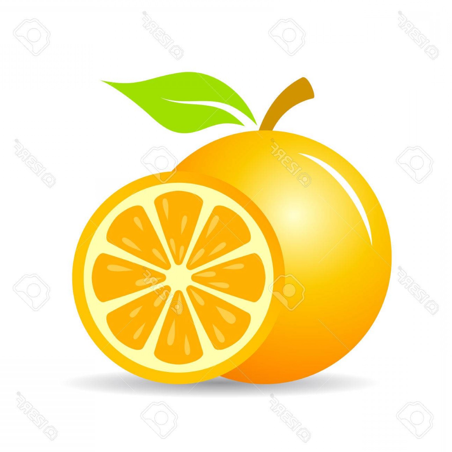 1560x1560 Photostock Vector Fresh Orange Fruit Vector Icon Cqrecords